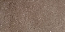 Дайсен Керамогранит коричневый SG211400R 30х60 9мм (Орел)